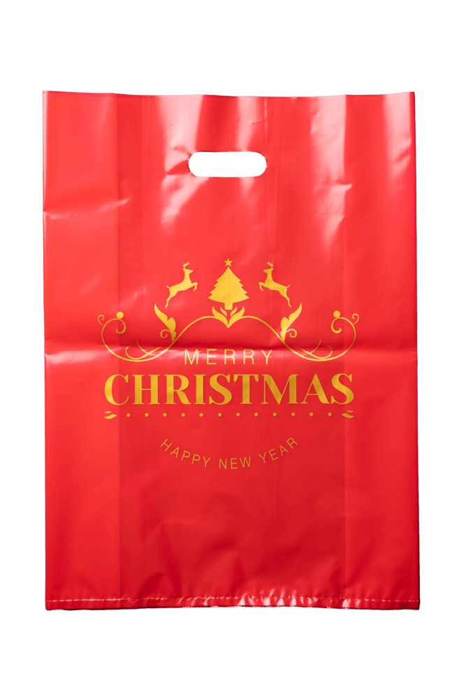 Busta Natalizia 1 e1764672234661