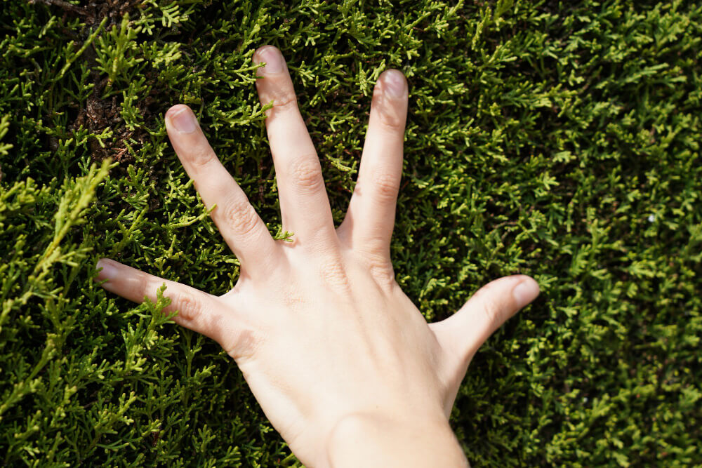 Come ridurre l’impronta ecologica del packaging aziendale